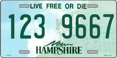 NH license plate 1239667