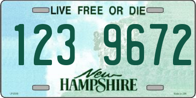 NH license plate 1239672