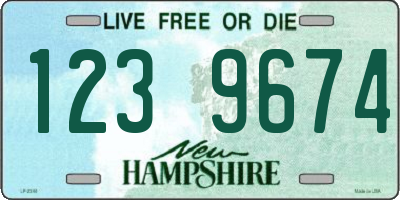 NH license plate 1239674