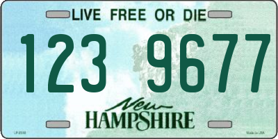 NH license plate 1239677