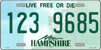 NH license plate 1239685