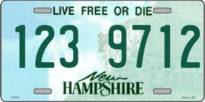 NH license plate 1239712