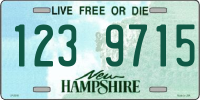 NH license plate 1239715