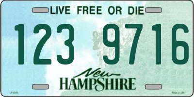 NH license plate 1239716