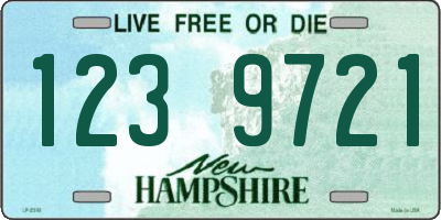 NH license plate 1239721