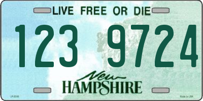 NH license plate 1239724