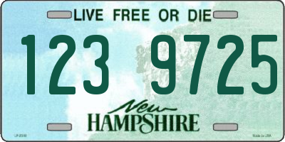NH license plate 1239725