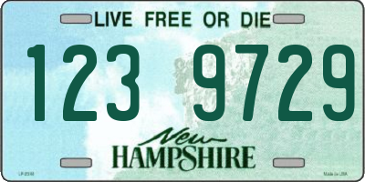 NH license plate 1239729