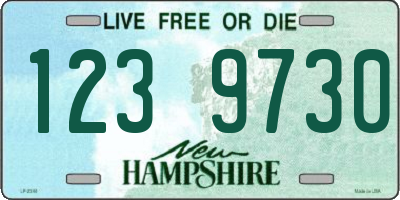 NH license plate 1239730
