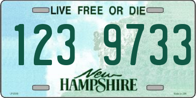 NH license plate 1239733