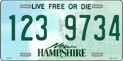 NH license plate 1239734