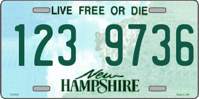 NH license plate 1239736