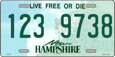 NH license plate 1239738