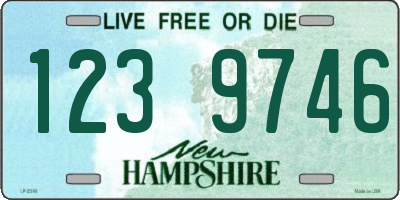 NH license plate 1239746
