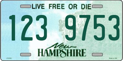 NH license plate 1239753