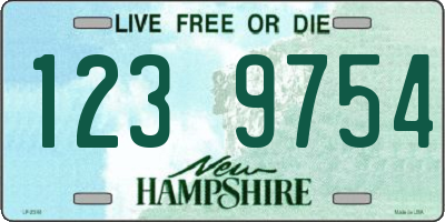 NH license plate 1239754