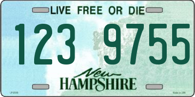 NH license plate 1239755