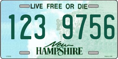 NH license plate 1239756