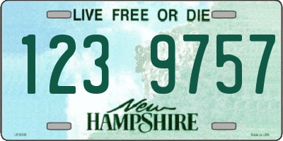 NH license plate 1239757