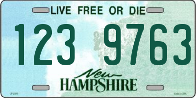 NH license plate 1239763