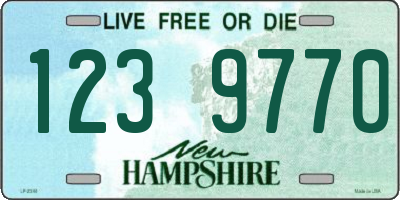 NH license plate 1239770