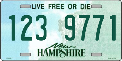 NH license plate 1239771