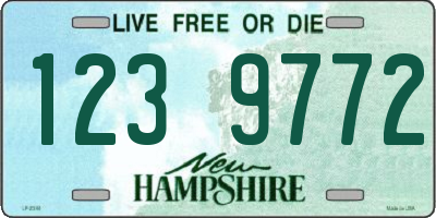 NH license plate 1239772