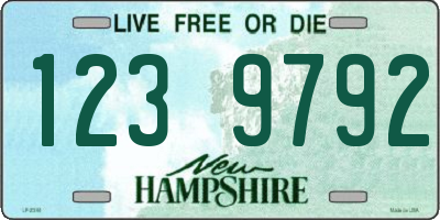 NH license plate 1239792