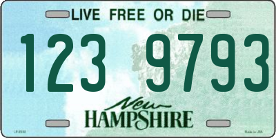 NH license plate 1239793