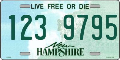 NH license plate 1239795