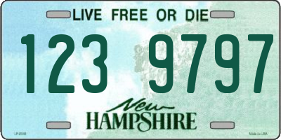 NH license plate 1239797
