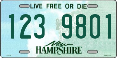 NH license plate 1239801