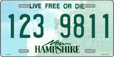 NH license plate 1239811