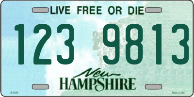 NH license plate 1239813