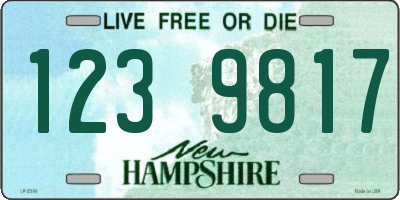 NH license plate 1239817