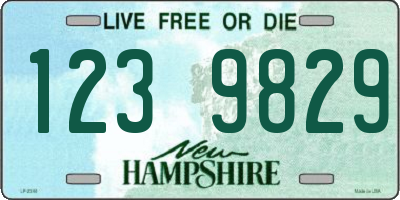 NH license plate 1239829