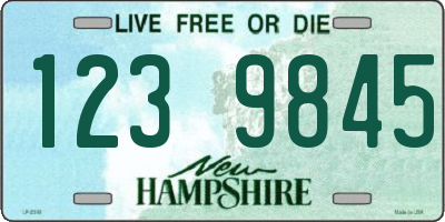 NH license plate 1239845