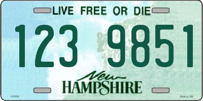 NH license plate 1239851