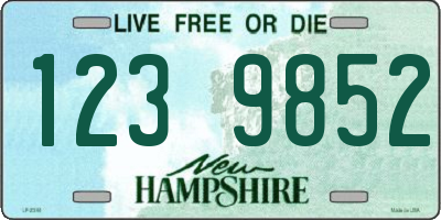 NH license plate 1239852