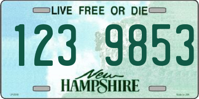 NH license plate 1239853