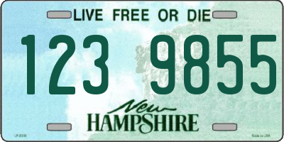 NH license plate 1239855