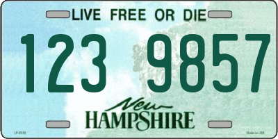 NH license plate 1239857