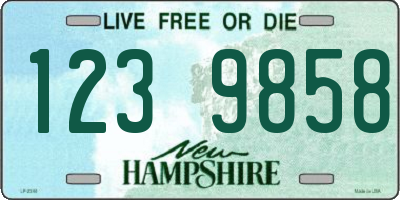 NH license plate 1239858