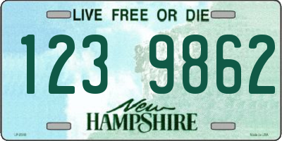 NH license plate 1239862