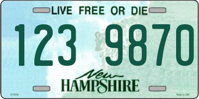 NH license plate 1239870
