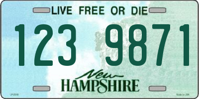 NH license plate 1239871