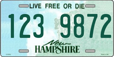 NH license plate 1239872