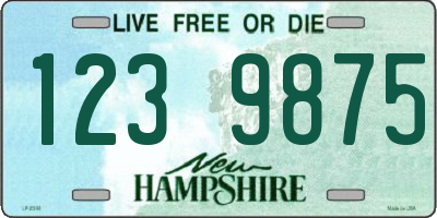 NH license plate 1239875