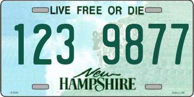 NH license plate 1239877