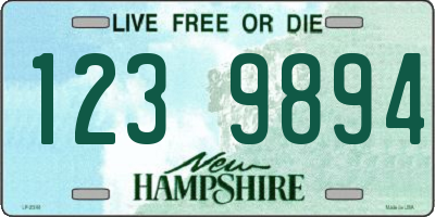 NH license plate 1239894